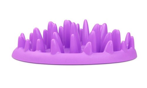 Kissan-aktivointiruokakuppi