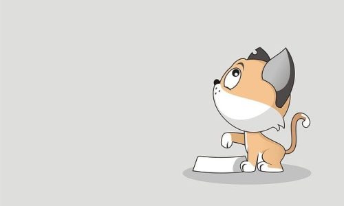 kissan-ruokinta-kaytannossa